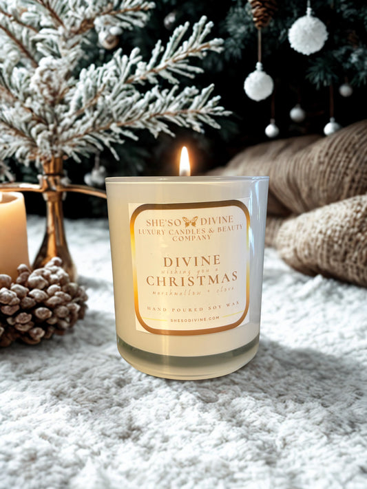 WISHING YOU A DIVINE CHRISTMAS